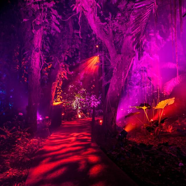 Pasea por el Jardín Botánico Tropical Fairchild - Night at the Garden Miami Experience: El mágico espectáculo de luces